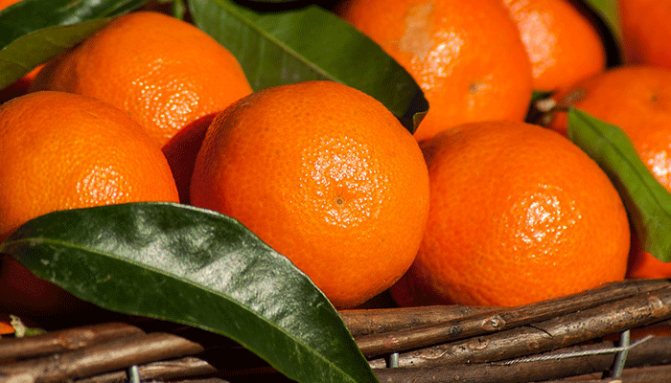Orange sunny dream - why do you dream about tangerines?