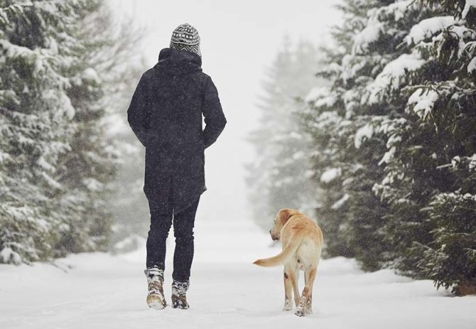 A guy with a dog walking through the snow