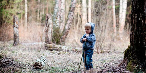 потерять ребенка в лесу